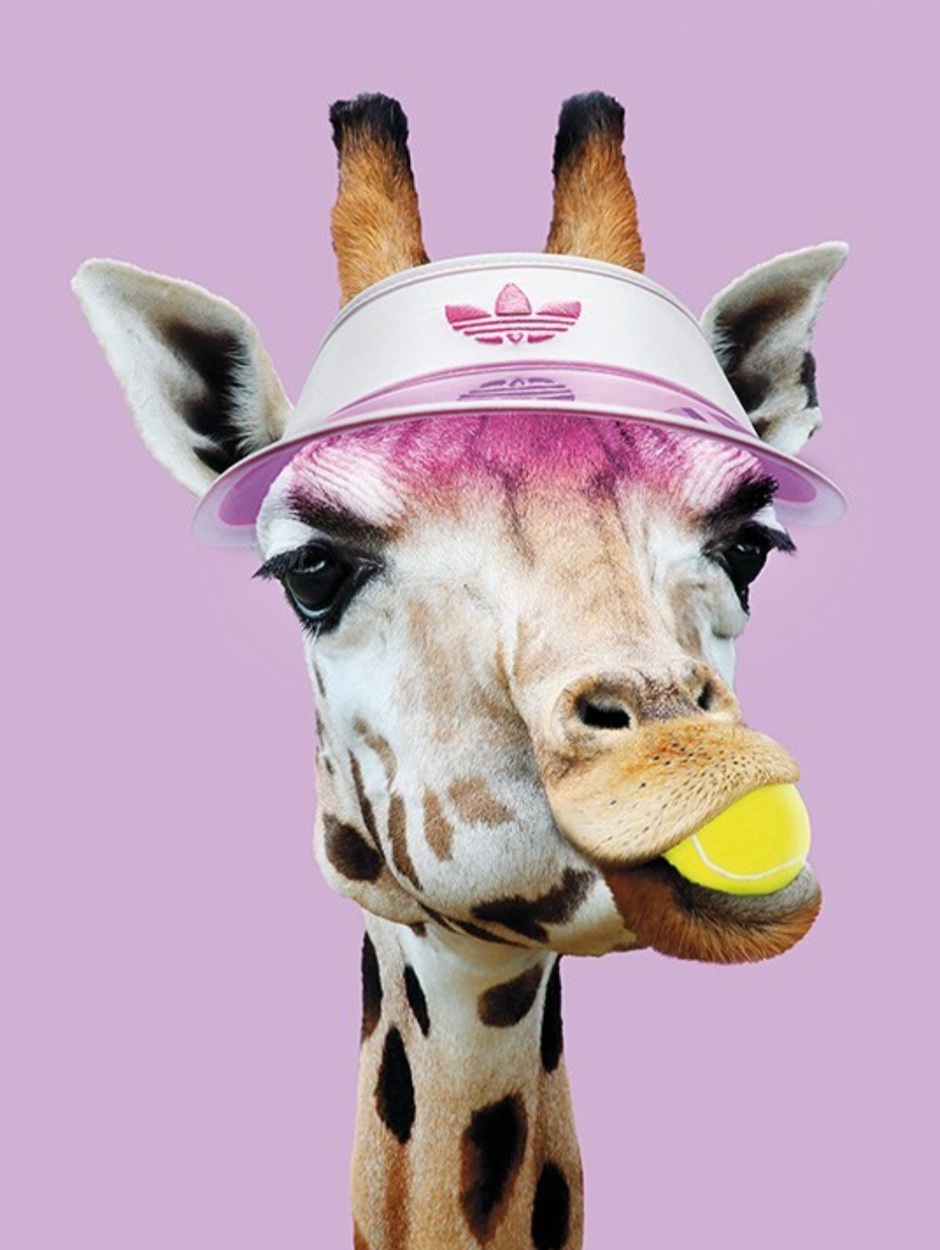 Unsere TENNIS FREILUFT-SAISON ist ab heute eröffnet! 